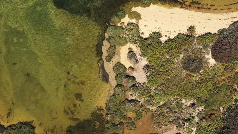 Ria Formosa: Armona and Culatra Islands 3-Hour Boat Tour - The Full Experience: A Deep Dive into the 3-Hour Boat Tour