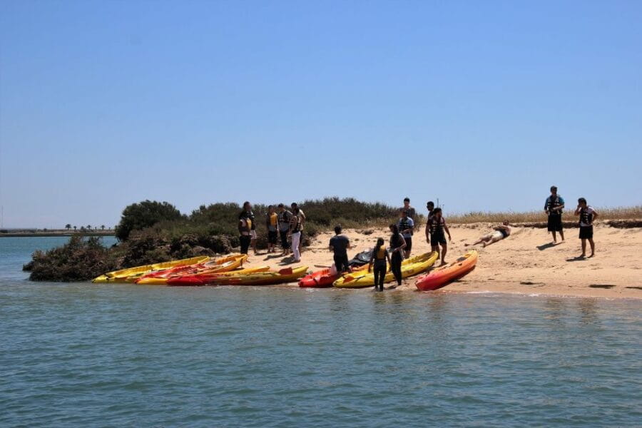Ria Formosa National Park: Kayak Trip - What the Reviews Say