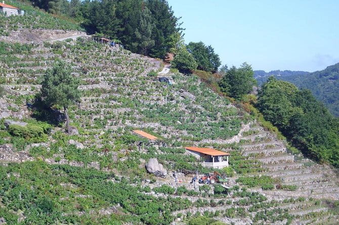 Ribeira Sacra From Lugo - A Close Look at the Itinerary