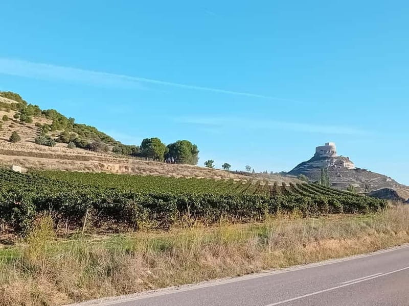 Ribera del Duero Tour: Three Wineries & Lunch from Madrid - Who Is This Tour Best For?
