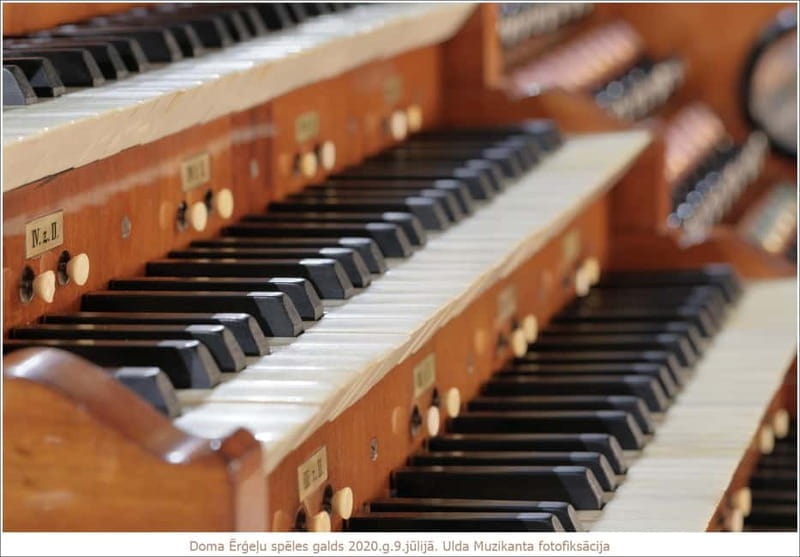 Riga: Concerto Piccolo and Cathedral Visit - The Concerto Piccolo: A Brief but Beautiful Organ Performance
