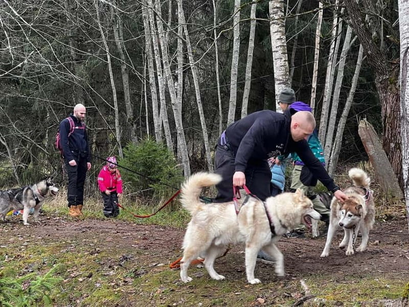 Riga: Husky Hike in the Nature Trail - Who Is This Experience Best For?