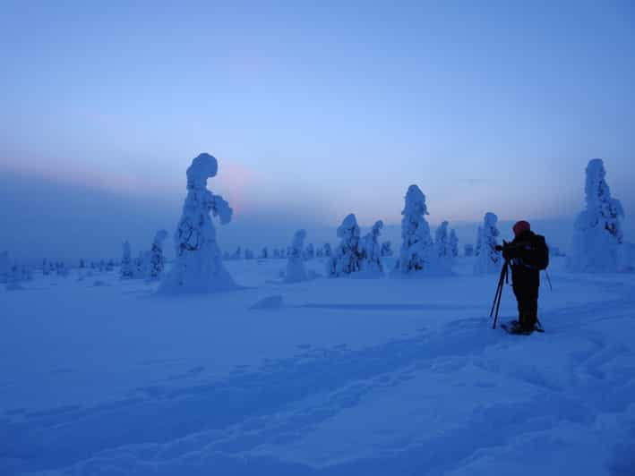 Riisitunturi National Park Snowshoe Experience - Practical Tips for Making the Most of Your Snowshoe Tour