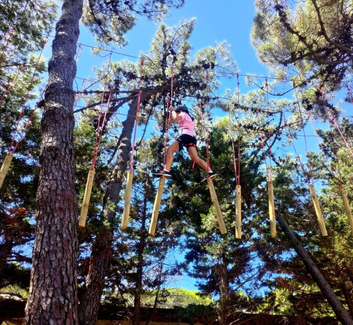 Rimini: Adventure Park Entry Ticket - Price, Duration, and Practicalities