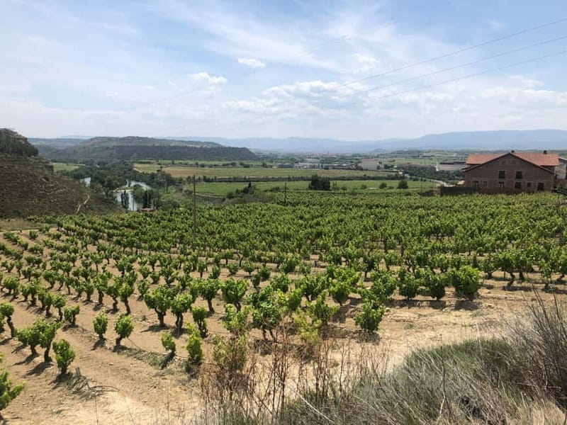 Rioja Day Tour: Explore Three Wineries with Tastings - Exploring Rioja in a Day: A Practical Breakdown