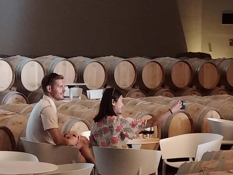 Rioja: Wine Tour with a Local Expert with Tastings - Who Is This Tour Best For?