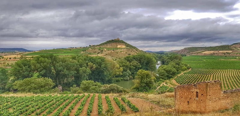 RIOJA: WINE TOUR WITH A WINERY OWNER - Visiting the First Winery: A Historic Start