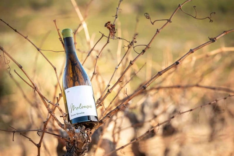 Rivesaltes - Secrets du Terroir and Unique Wine Tasting! - A Private Walk Through the Estate