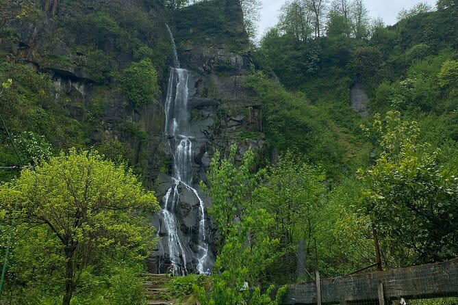 Rize and Ayder Tour Mountains and River - Price and Value Analysis