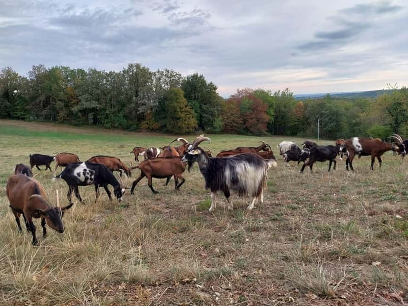 Rocamadour: Travel sketchbook - The Sum Up