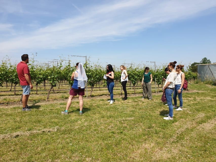 Romagna: Wine Tour with The Winemaker - Key Points / Takeaways