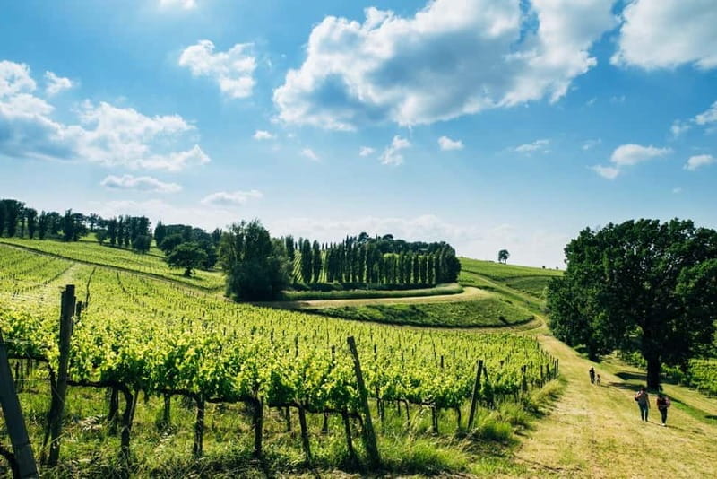 Rome: Assisi, Montefalco wines & Perugia Day Trip with Lunch - Savoring Umbria’s Wine at Montefalco