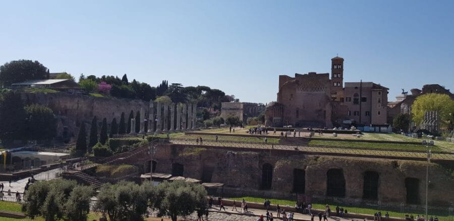 Rome: Colosseum Arena, Forum & Palatine Hill Private tour - Exploring the Site: What to Expect from the Tour
