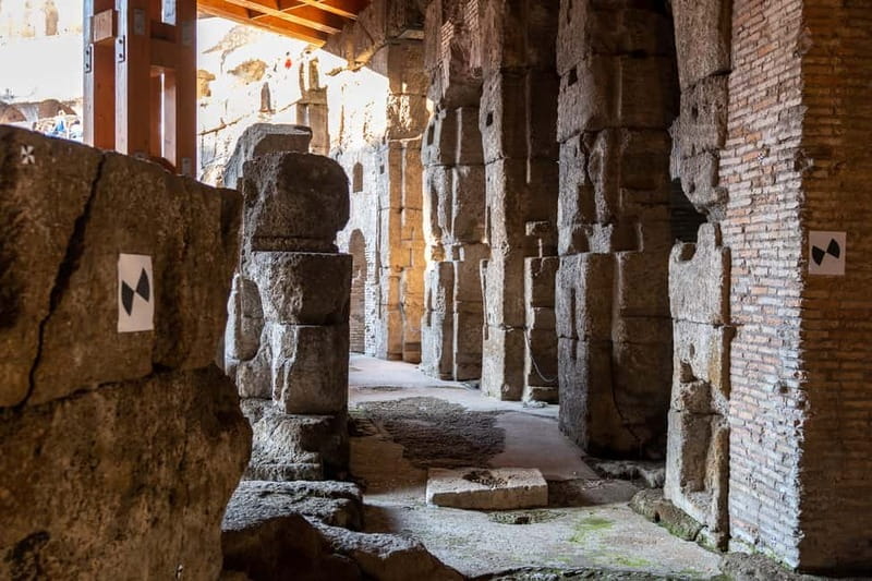 Rome: Colosseum Dungeon, Forum & Palatine Hill VIP Tour - Entering The Colosseum: First Impressions and Logistics