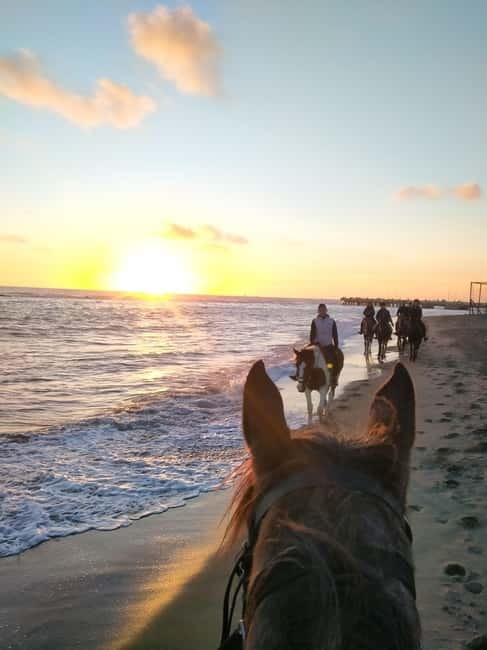Rome on Horseback : Ancient Ostia & the beach with Aperitif - Breaking Down the Itinerary: What’s in Store