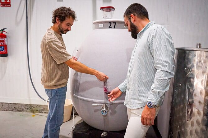 Ronda from Malaga: Top Quality Wine Tour & city exploring - Final Thoughts: A Memorable Day with Genuine Flavor