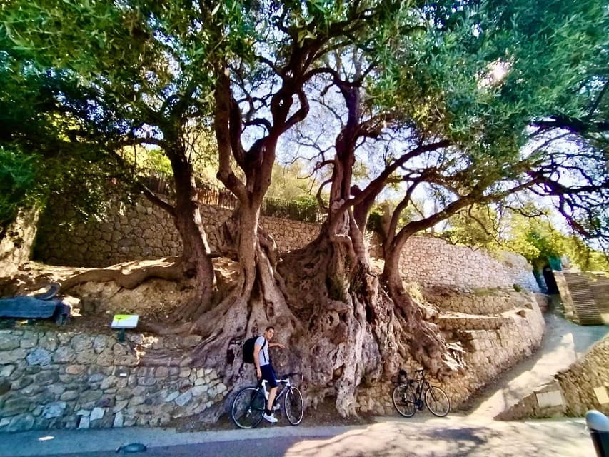 Roquebrune-Village & Grimaldi Castle - Walking Tour - FAQ