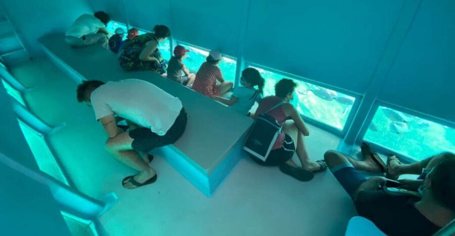 Roses: Costa Brava Catamaran Trip with Underwater Views - Price and Booking: Good Value for a Short Tour