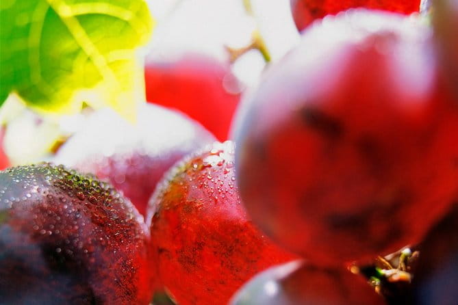 Roséwinetasting Parties or Workshops with a WineEducator at your place - Price and Value