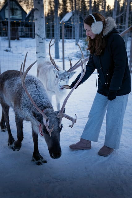 Rovaniemi: Arctic Reindeer Experience with Lunch - Entering the Arctic Forest: What the Experience Feels Like