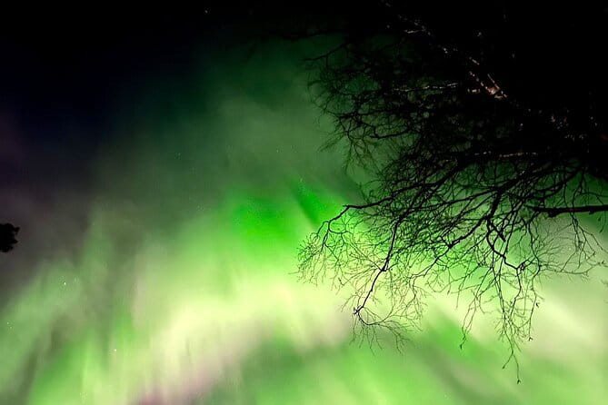 Rovaniemi: Aurora Hunting & Photography Tour - Entering the Arctic Night: What to Expect