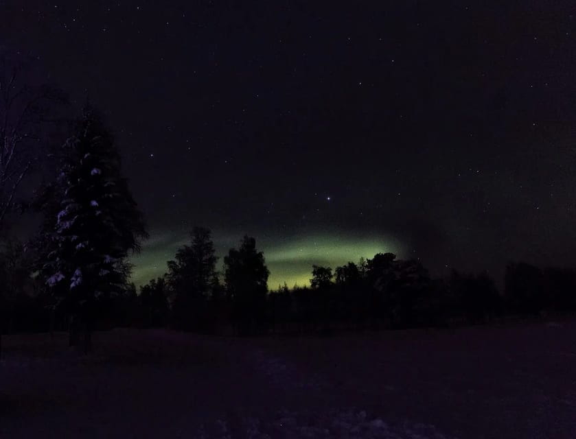 Rovaniemi: Aurora Hunting Tour in the Forest with Hot Drinks - FAQ