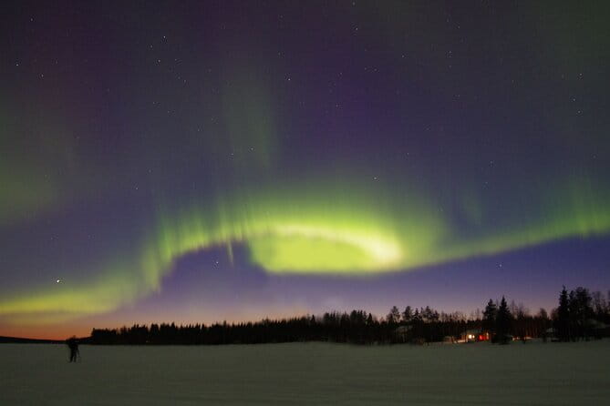 Rovaniemi Aurora Hunting Tour - Who Would Love This Tour?