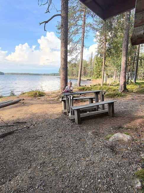 Rovaniemi: Berry Picking Tour with Traditional Laavu - Final Thoughts: Who Will Enjoy This?