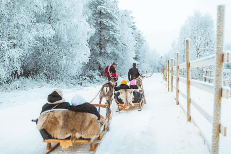 Rovaniemi: Early Winter Reindeer Sleigh Ride 1-2 km - The Experience’s Practicalities: Who It’s Right For