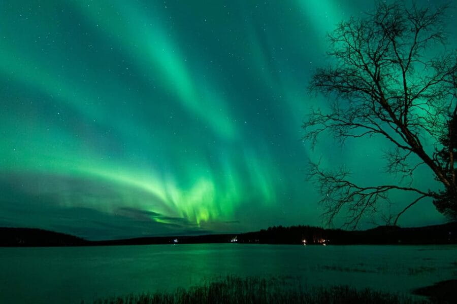 Rovaniemi: Guaranteed Aurora Hunting Tour with Local Guide - Who This Tour Is Best For
