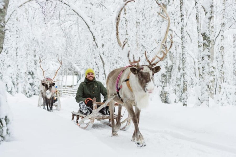 Rovaniemi: Husky and Reindeer farm with sleigh ride - Why This Tour Offers Great Value