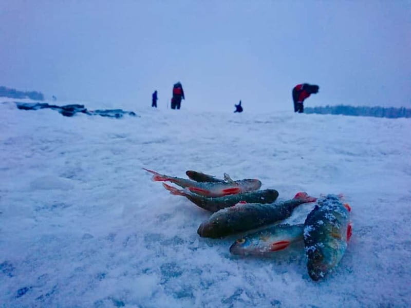 Rovaniemi: Ice Fishing by Snowmobile - Outdoor lunch and the Arctic atmosphere