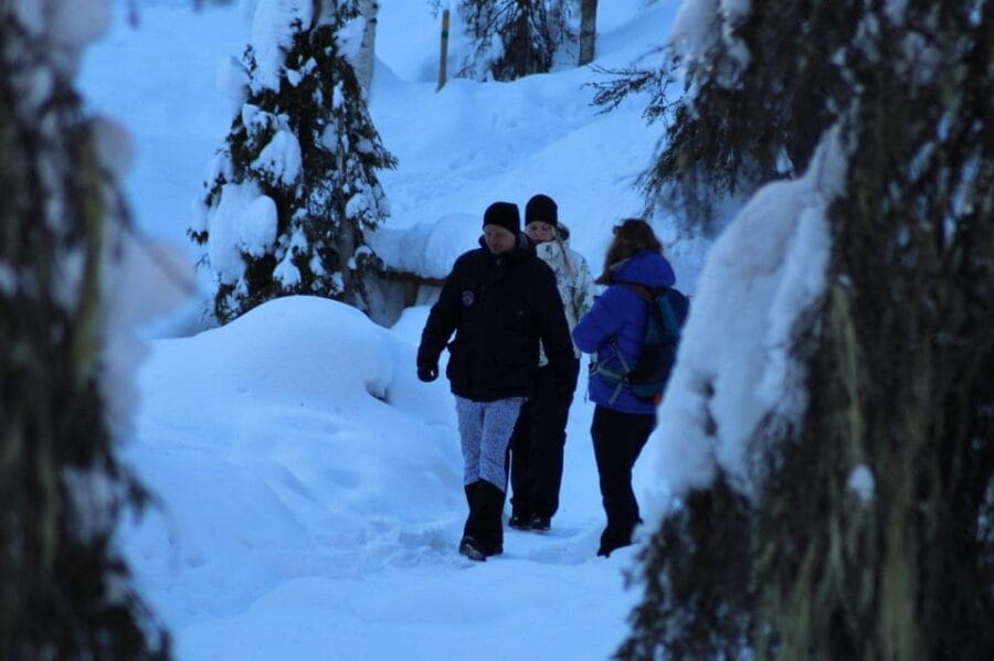 Rovaniemi: Korouoma Canyon and Frozen Waterfalls Tour - Price and Value