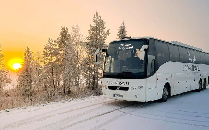 Rovaniemi: Northern Lights Bus Tour with Hot Drinks & Snacks - The Itinerary in Detail