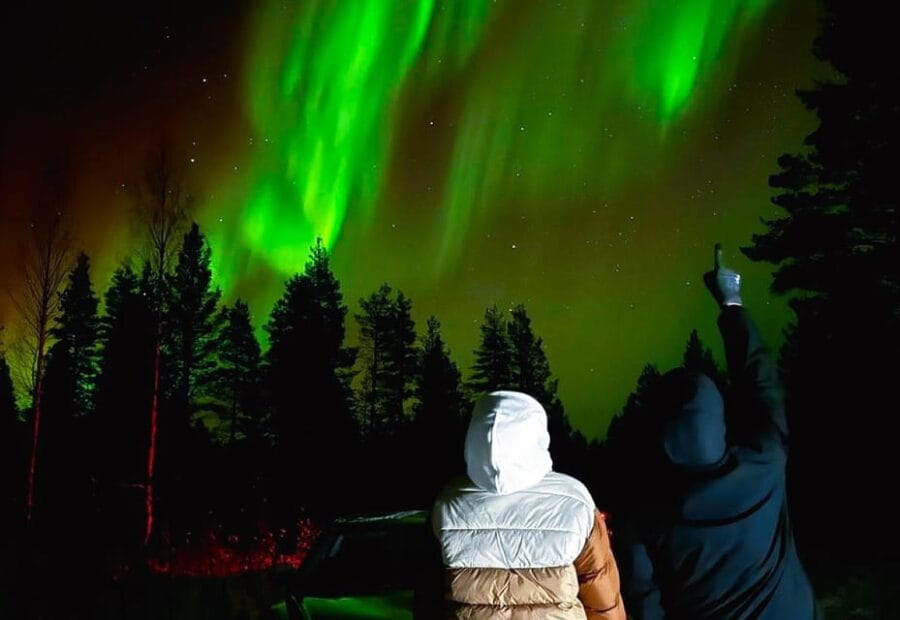 Rovaniemi: Northern Lights Tour with BBQ - Entering the Arctic Night: What to Expect