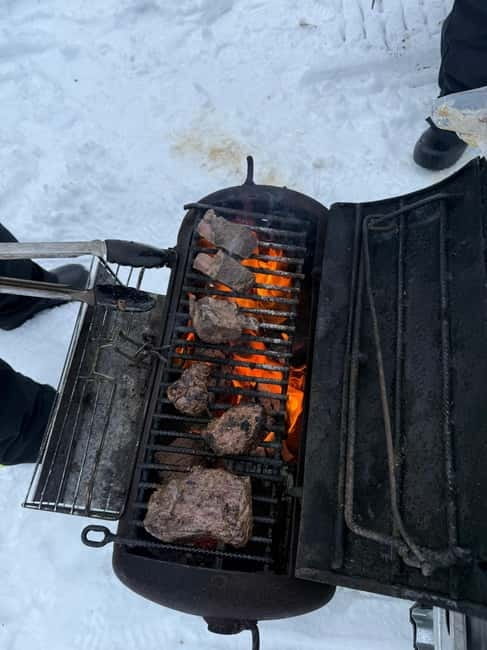 Rovaniemi: Private Snowmobile Trip in Lapland - Exploring Lapland’s Snowy Wilderness in Style