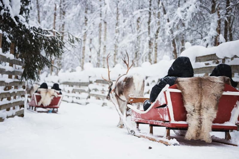 Rovaniemi: Reindeer, Huskies & Santa Claus Village - Savoring Traditional Finnish Flavors