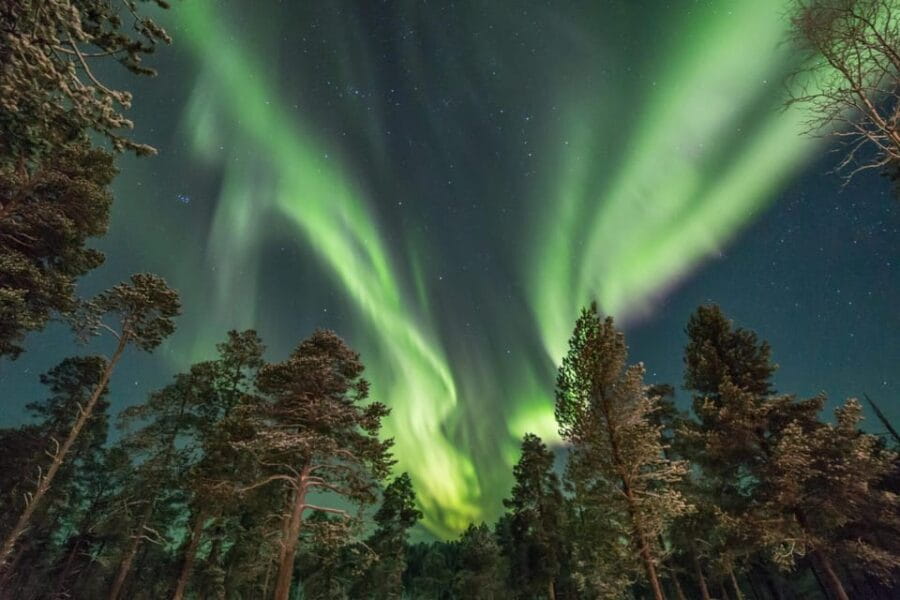 Rovaniemi: Reindeer Safari and Northern Lights Tour - Frequently Asked Questions