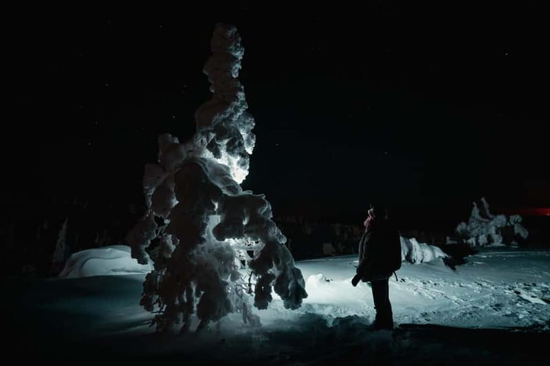 Rovaniemi: Riisitunturi National Park Night Photography Tour - The Unique, Snow-Laden Landscape