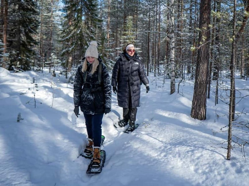 Rovaniemi: Snowshoe Adventure at Vikaköngäs & Barbeque - Itinerary Breakdown: What You’ll Actually Do