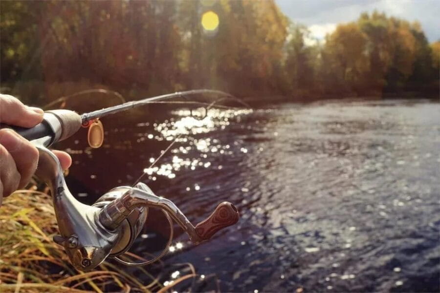 Rovaniemi: Summer Fishing Tour in Arctic Nature & BBQ - Why This Tour Matters for Your Arctic Trip