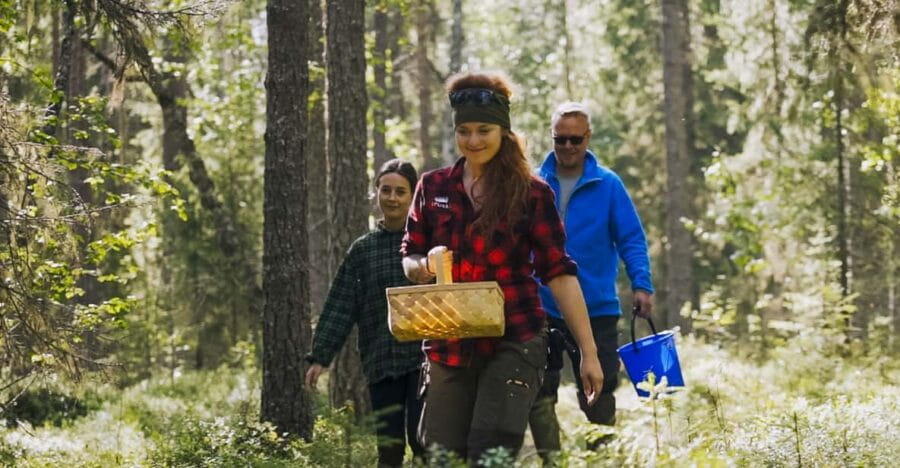 Rovaniemi : Trekking in the Heart of Nature - Discovering the Traditional Art of Berry Picking