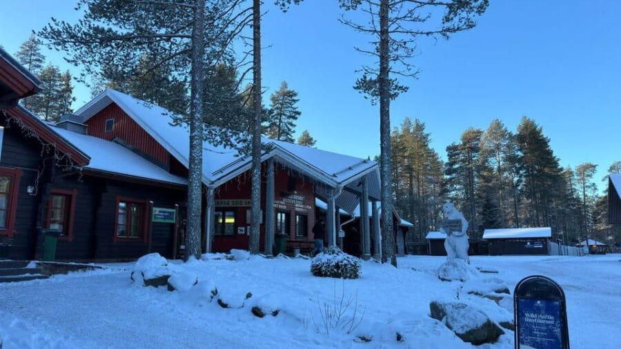 Rovaniemi: trip to the Ranua Zoo (transportation, tickets) - Price and Logistics