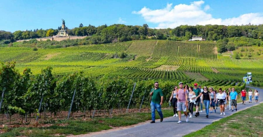 Rüdesheim - Guided wine hikes with 4wines and cable car ride - Price and Value: A Reasonable Investment