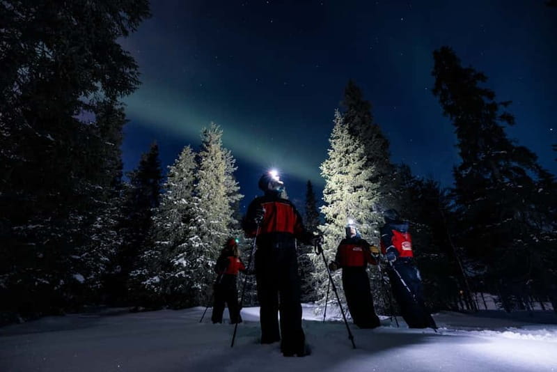 Ruka: Northern Light Hunt by Minivan - FAQs