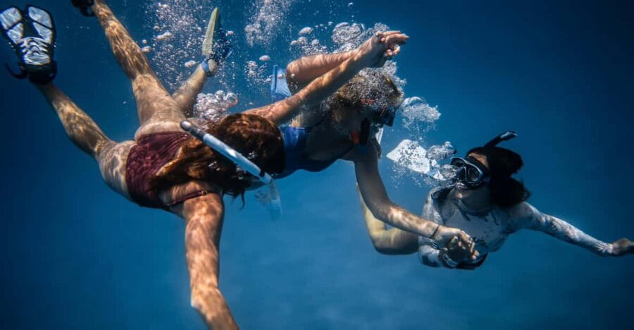 S. Miguel: Snorkeling adventure in Caloura - Discovering São Miguel’s South Coast by Jeep