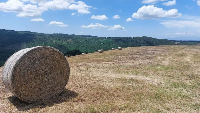 S.Miniato e-bike tour and aperitif (optional yoga at sunset) - Price and Logistics