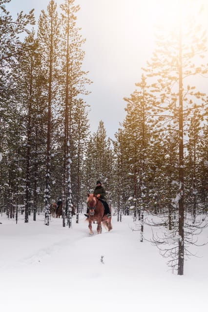 Saariselkä: Arctic Trail Horse Riding Tour - What to Expect on the Trail