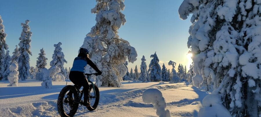 Saariselkä: Guided Fatbike Tour - Is This Tour Worth the Cost?