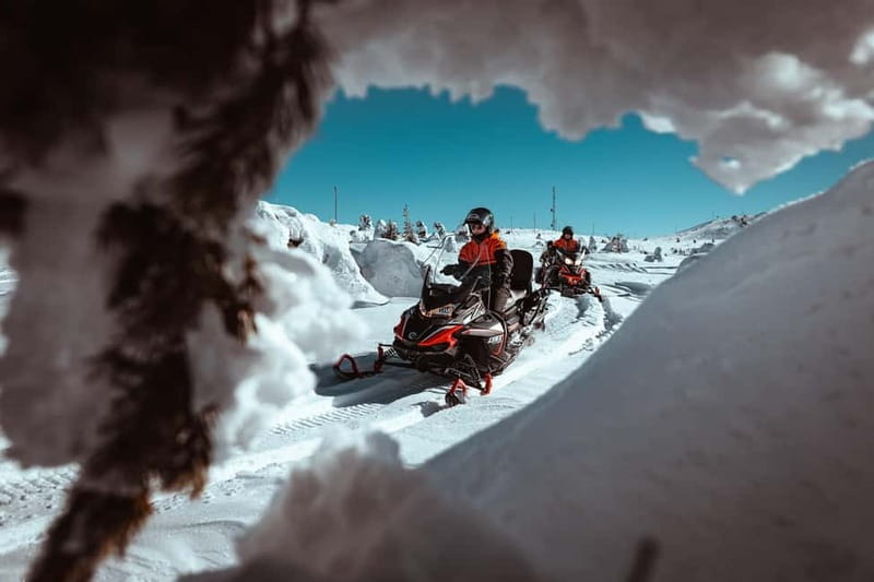 Saariselkä: One Hour Snowmobile Safari - The Scenic Ride: What to Expect